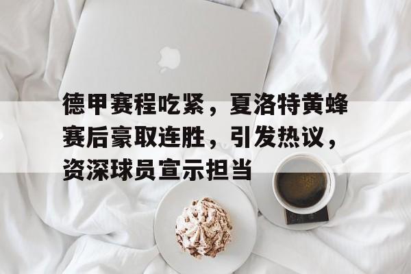 开云体育入口-包含德甲赛程吃紧，夏洛特黄蜂赛后豪取连胜，引发热议，资深球员宣示担当的词条